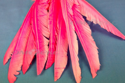 Декоративный Пучок из перьев, перо 25см/розовый - купить в Новочеркасске. Цена: 14.40 руб.