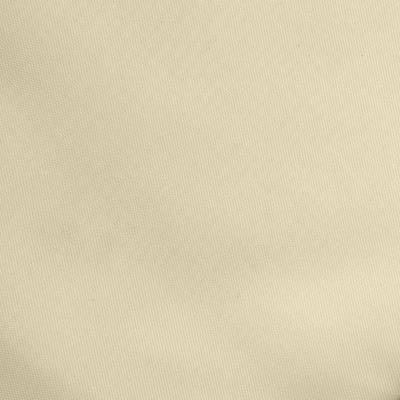 Ткань подкладочная Таффета 14-1014, антист., 53 гр/м2, шир.150см, цвет бежевый - купить в Новочеркасске. Цена 62.37 руб.