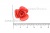 Украшение "Розы малые №1" 20мм - купить в Новочеркасске. Цена: 32.49 руб.