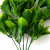 Трава искусственная -1, шт (эвкалипт лист 32 см/8 см)				 - купить в Новочеркасске. Цена: 169.93 руб.