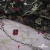 Сетка с вышивкой "Мадрид" 135 г/м2, 100% нейлон, ширина 130 см, Цвет 4/Черный - купить в Новочеркасске. Цена 980 руб.