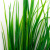 Трава искусственная -2, шт (осока 41см/8 см)				 - купить в Новочеркасске. Цена: 104.57 руб.