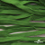 Шнур плетеный (плоский) d-12 мм, (уп.90+/-1м), 100% полиэстер, цв.260 - зел.трава - купить в Новочеркасске. Цена: 8.62 руб.
