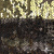 Трикотажное полотно, Сетка с пайетками, шир.130 см, #315, цв.-бронза/золото - купить в Новочеркасске. Цена 693.39 руб.