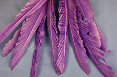 Декоративный Пучок из перьев, перо 25см/фиолетовый - купить в Новочеркасске. Цена: 12.19 руб.